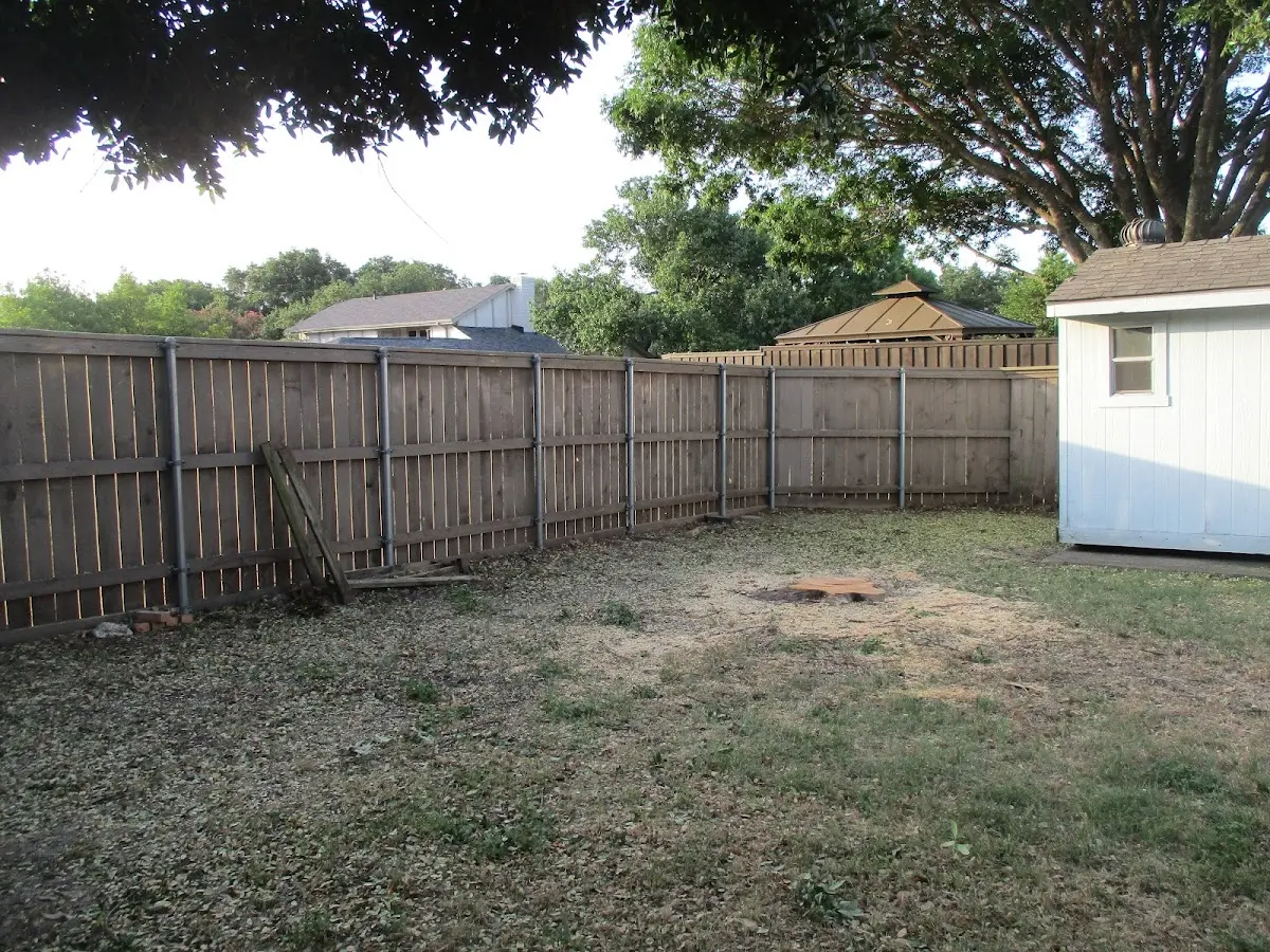 Cleared yard after professional tree removal in Presto